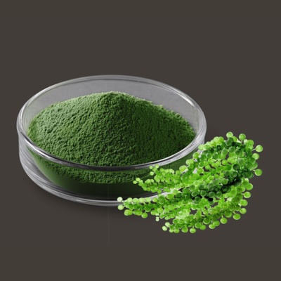 Chlorella